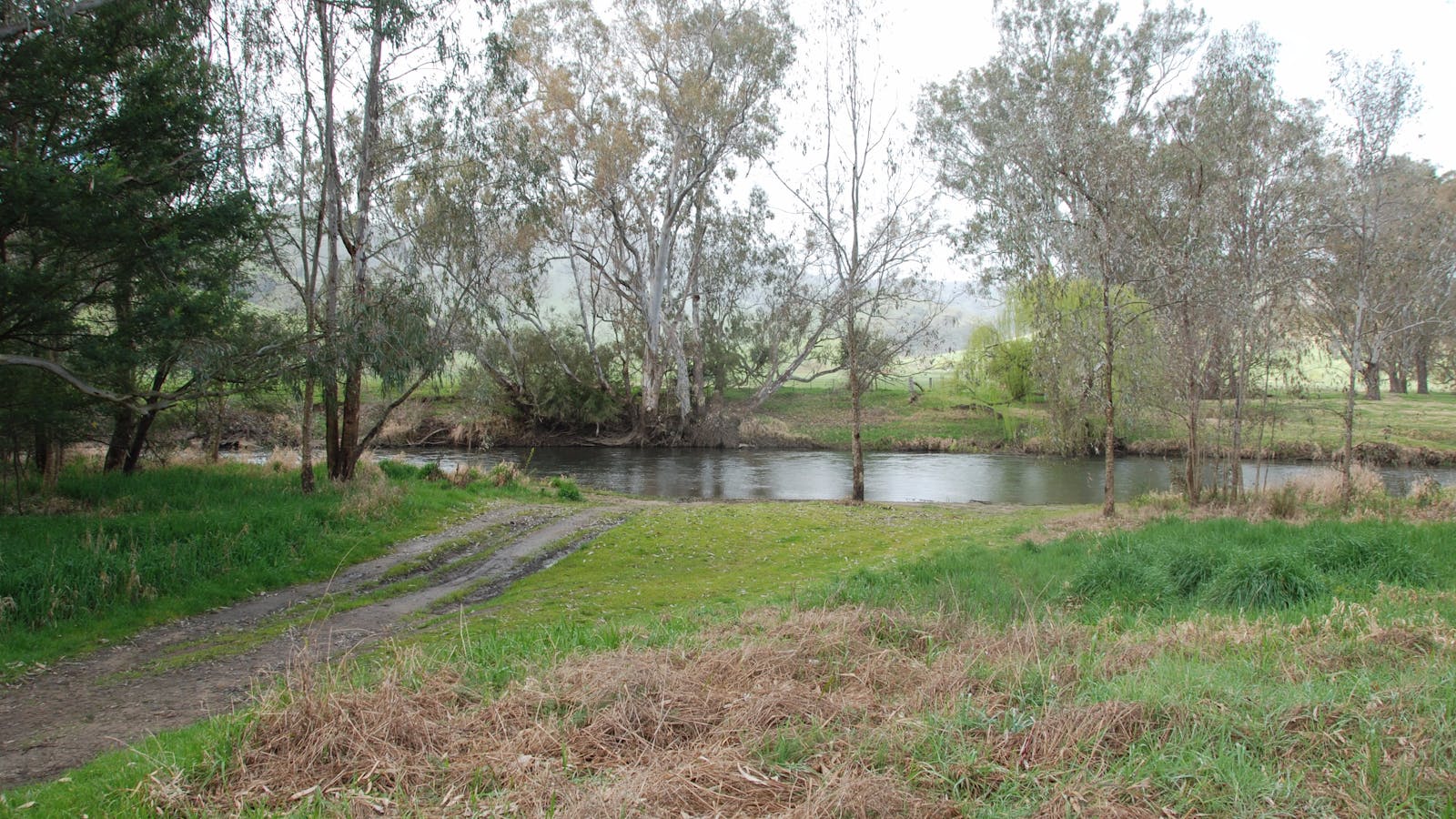 Pigs Point Streamside Reserve
