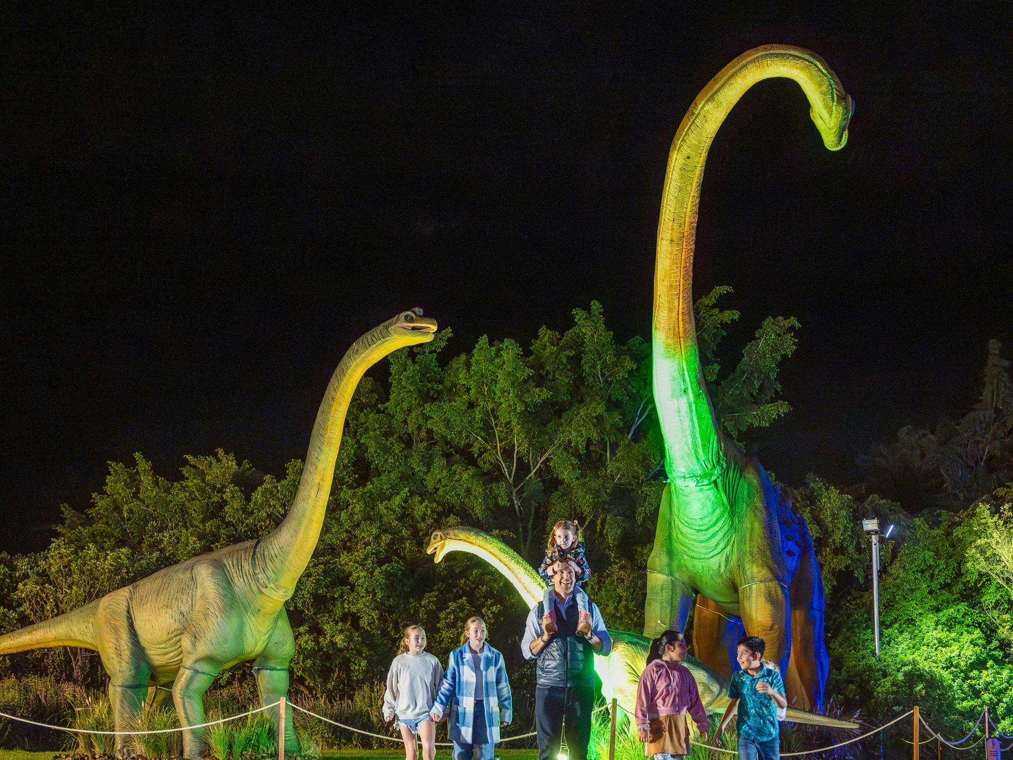 Mega Creatures Night Safari