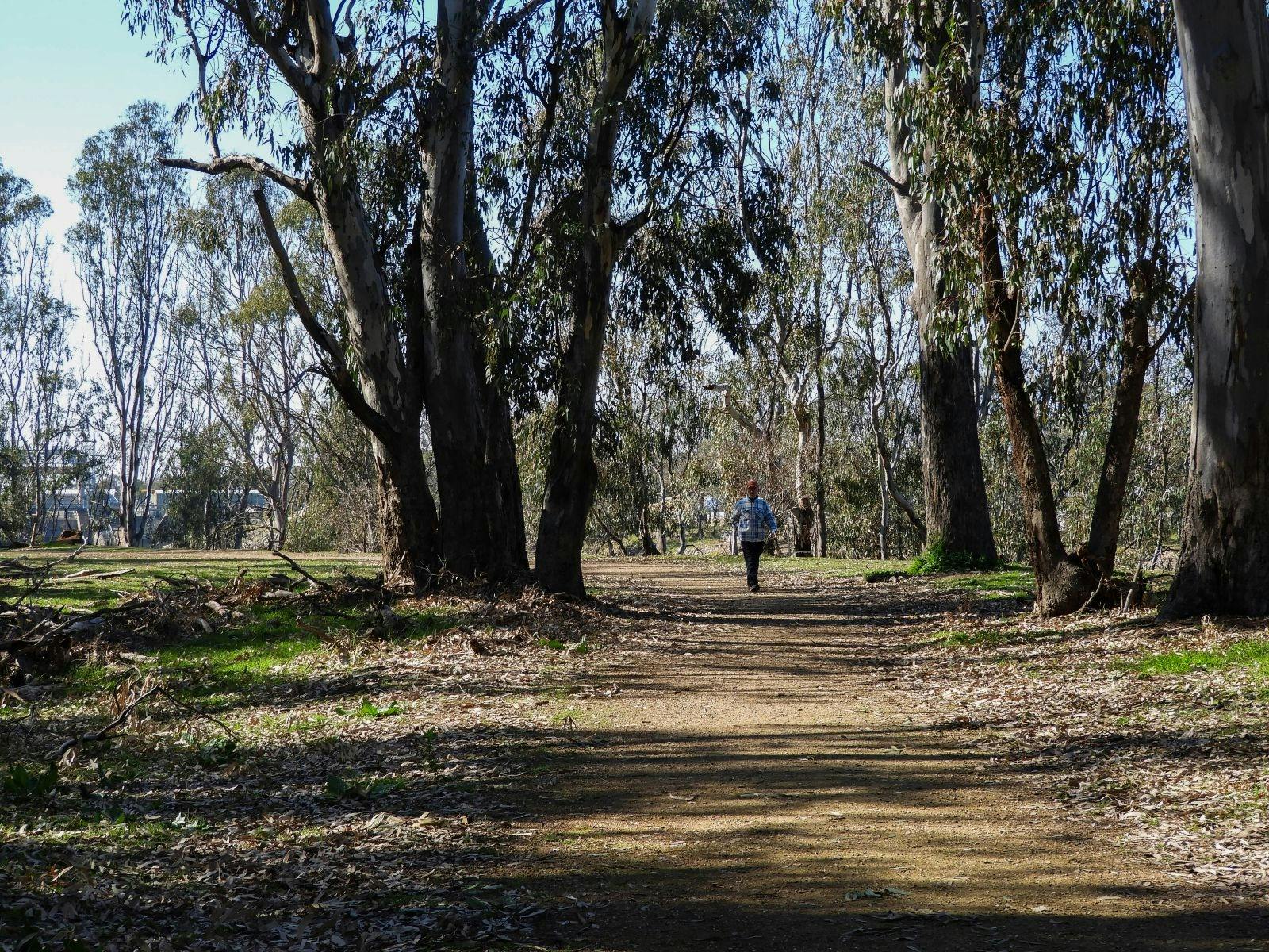 ゴーマンパークの散歩道
