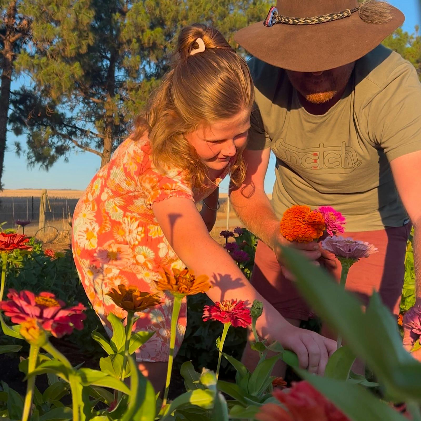 Pick Your Own Flowers at Shimmering Pines Farm