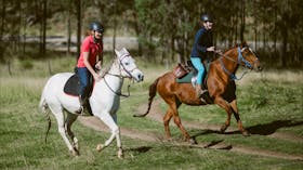 Chapman Valley Horse Riding & Camping