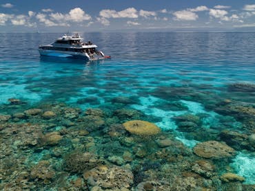 aerial of Silversonic at Agincourt Reef
