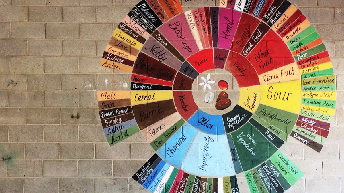Coffee flavour wheel