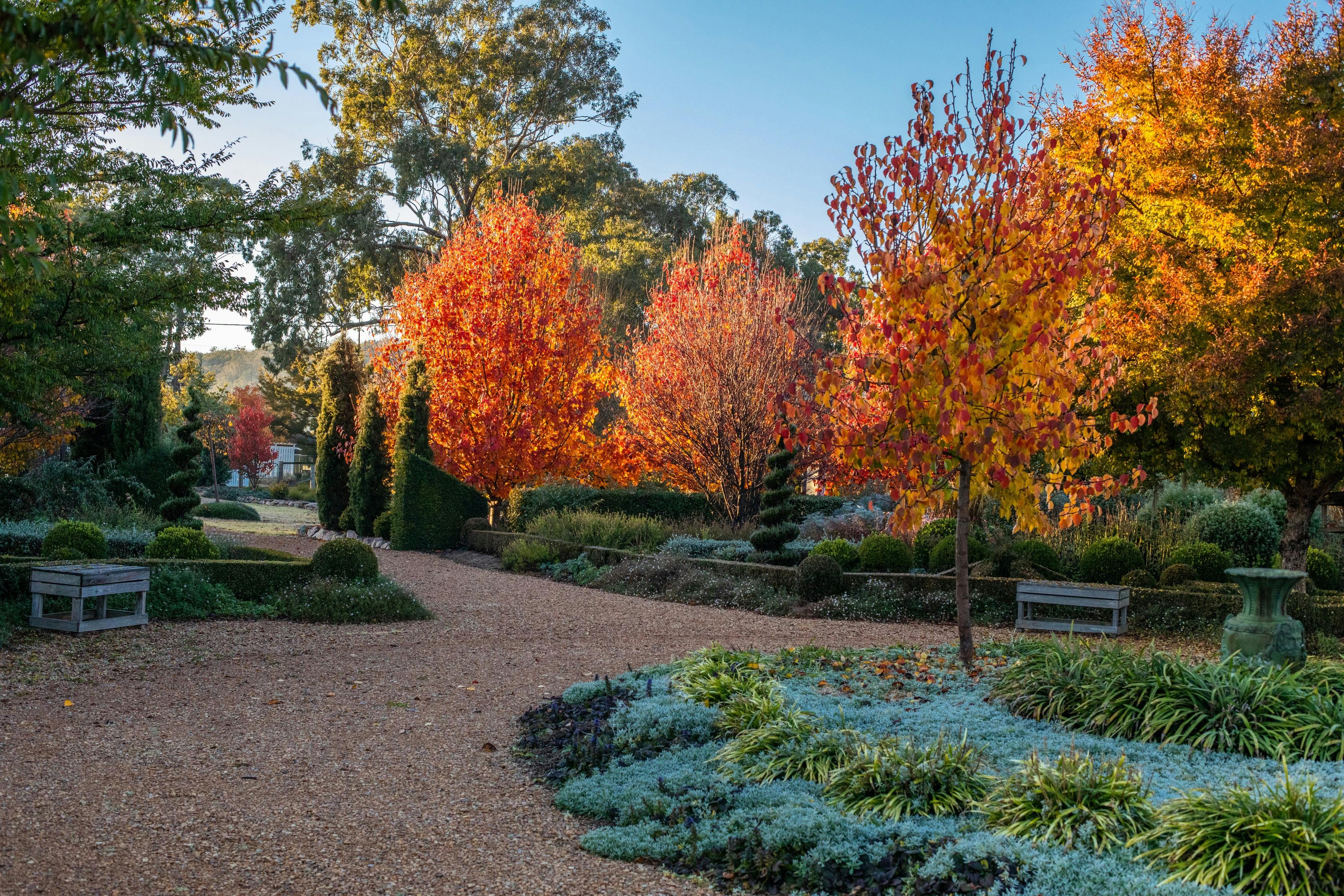 This vibrant display creates a picturesque and inviting atmosphere.