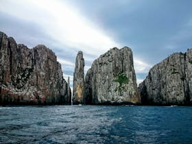 Wild Ocean Tasmania