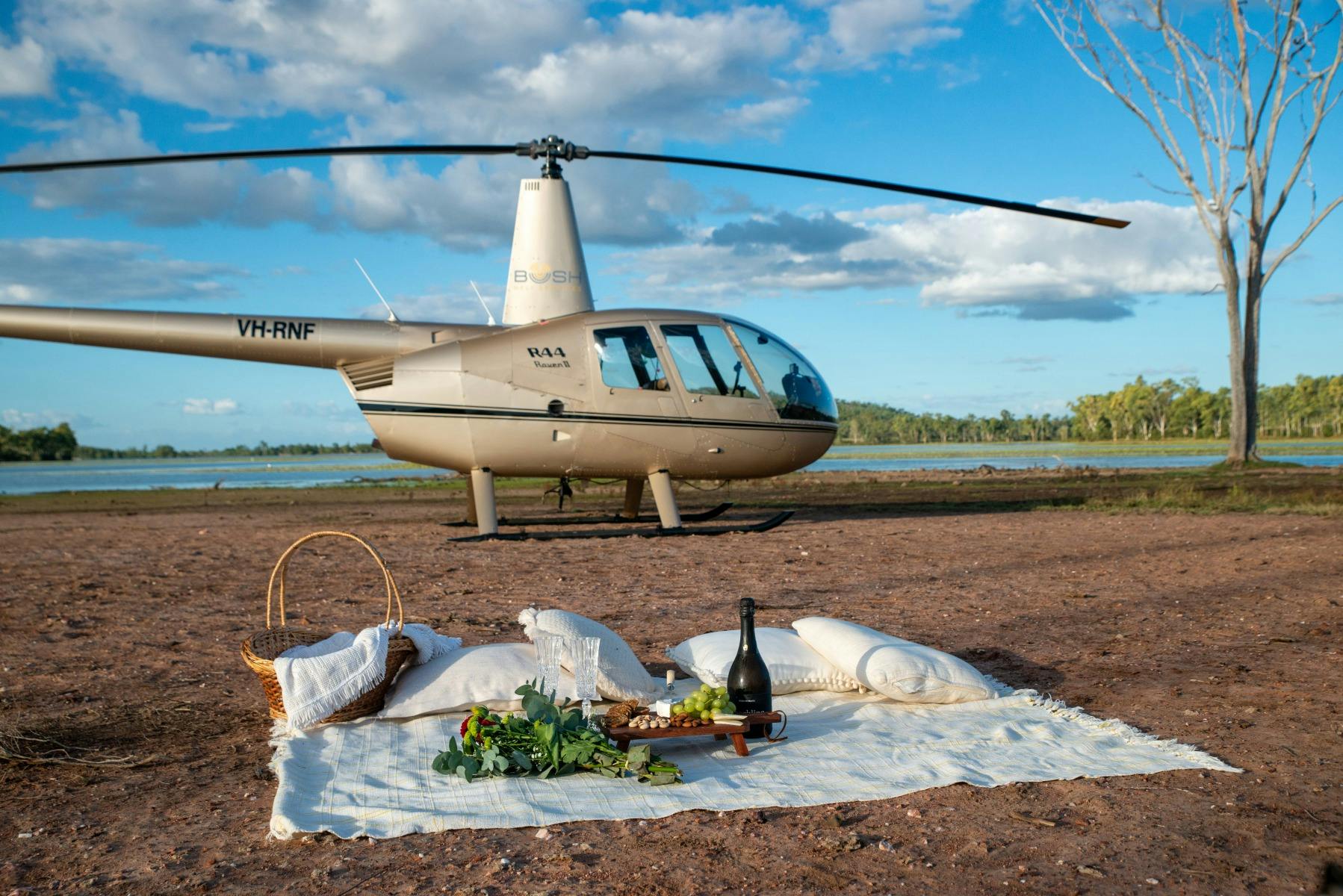 Picnic