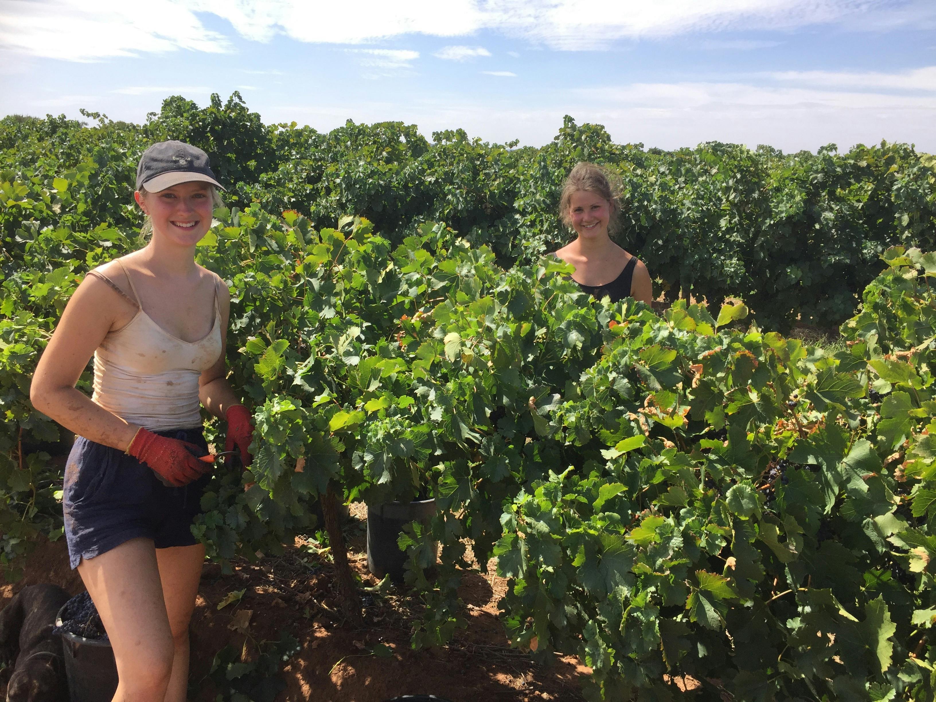 Enjoying their time on the farm