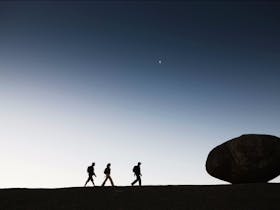 Little Bald Rock Walking Track