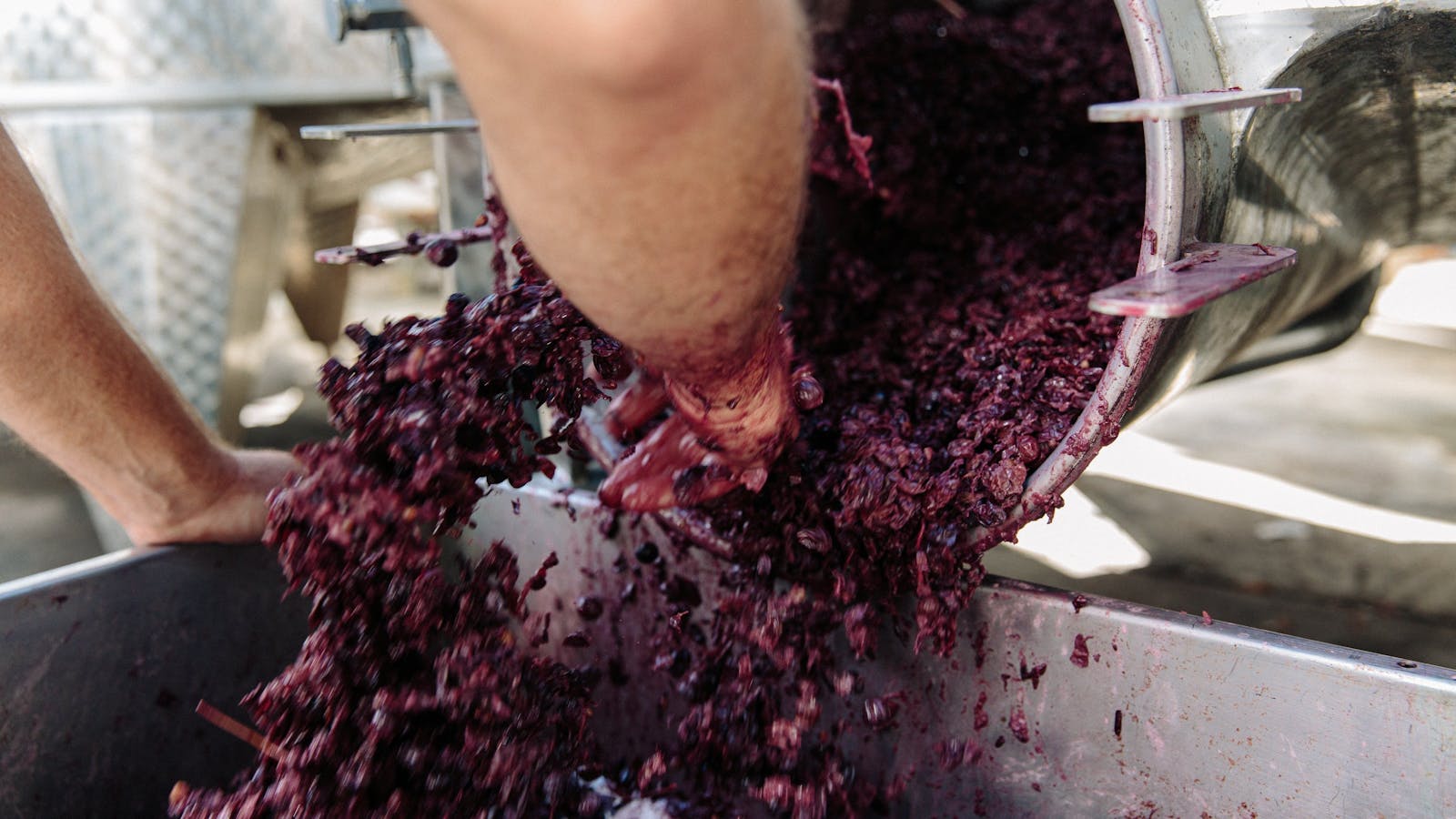 More Winemaking action at Witches Falls