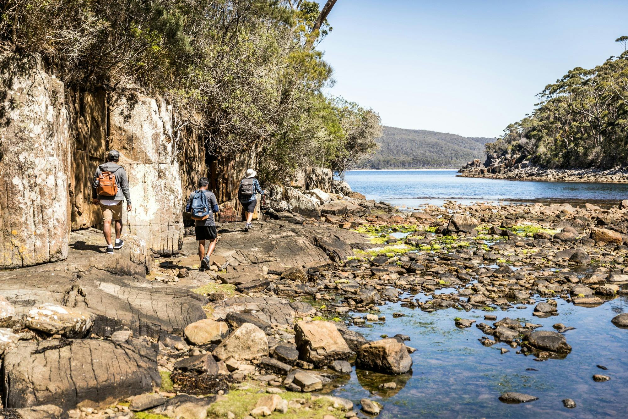 Walkers explore Bivouac Bay