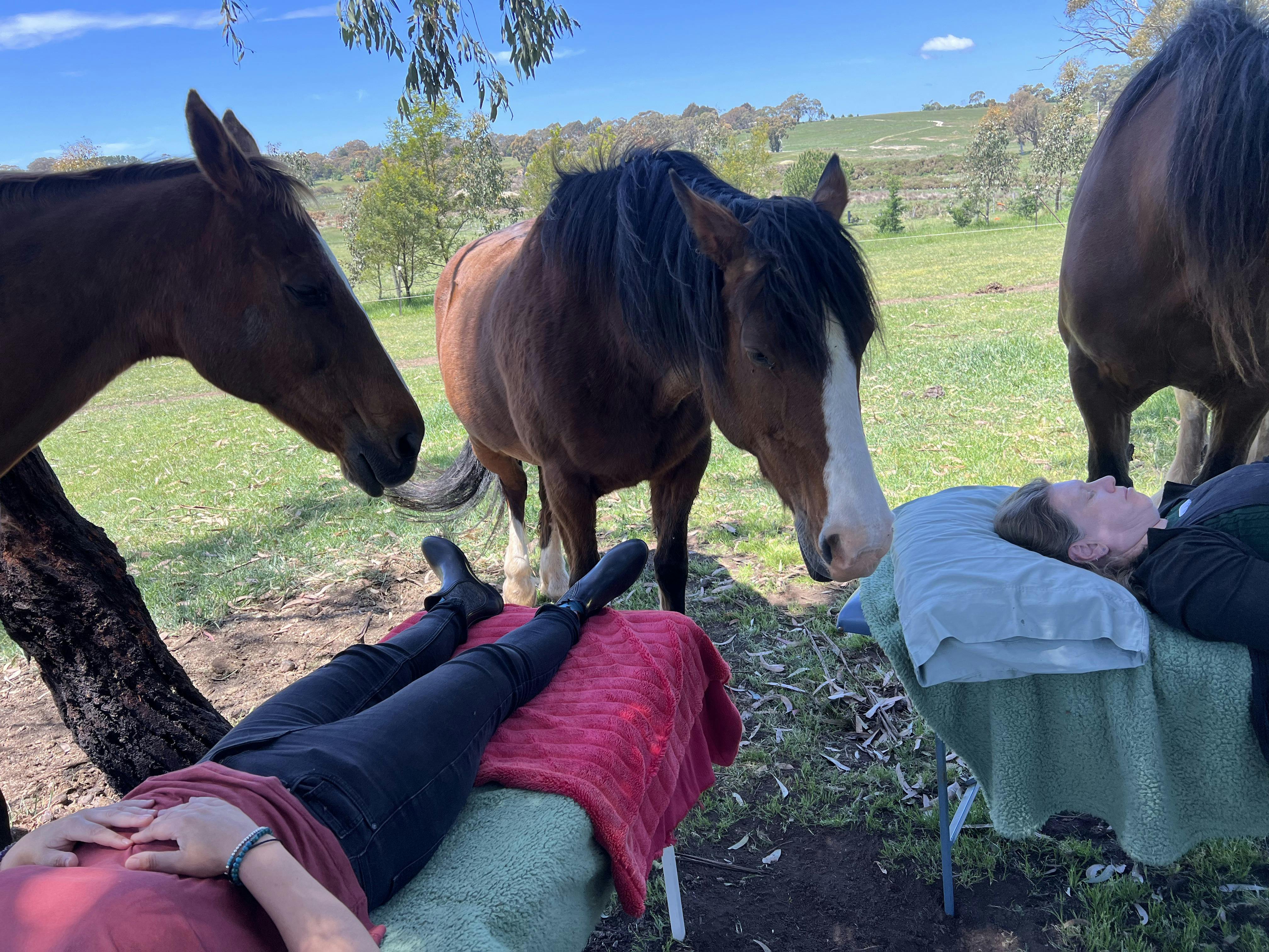 Horses Healing Humans