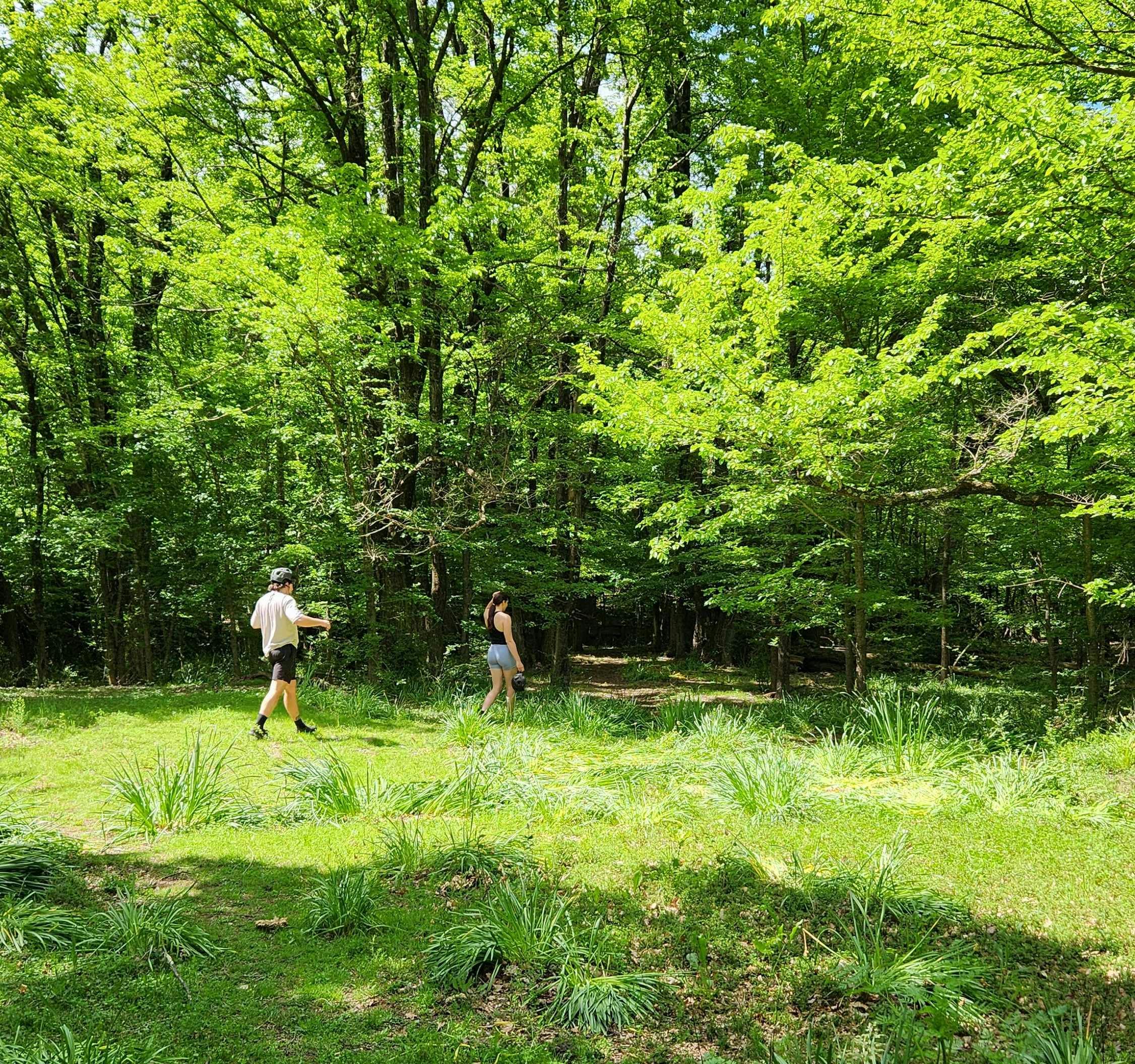 Couple walking into forest