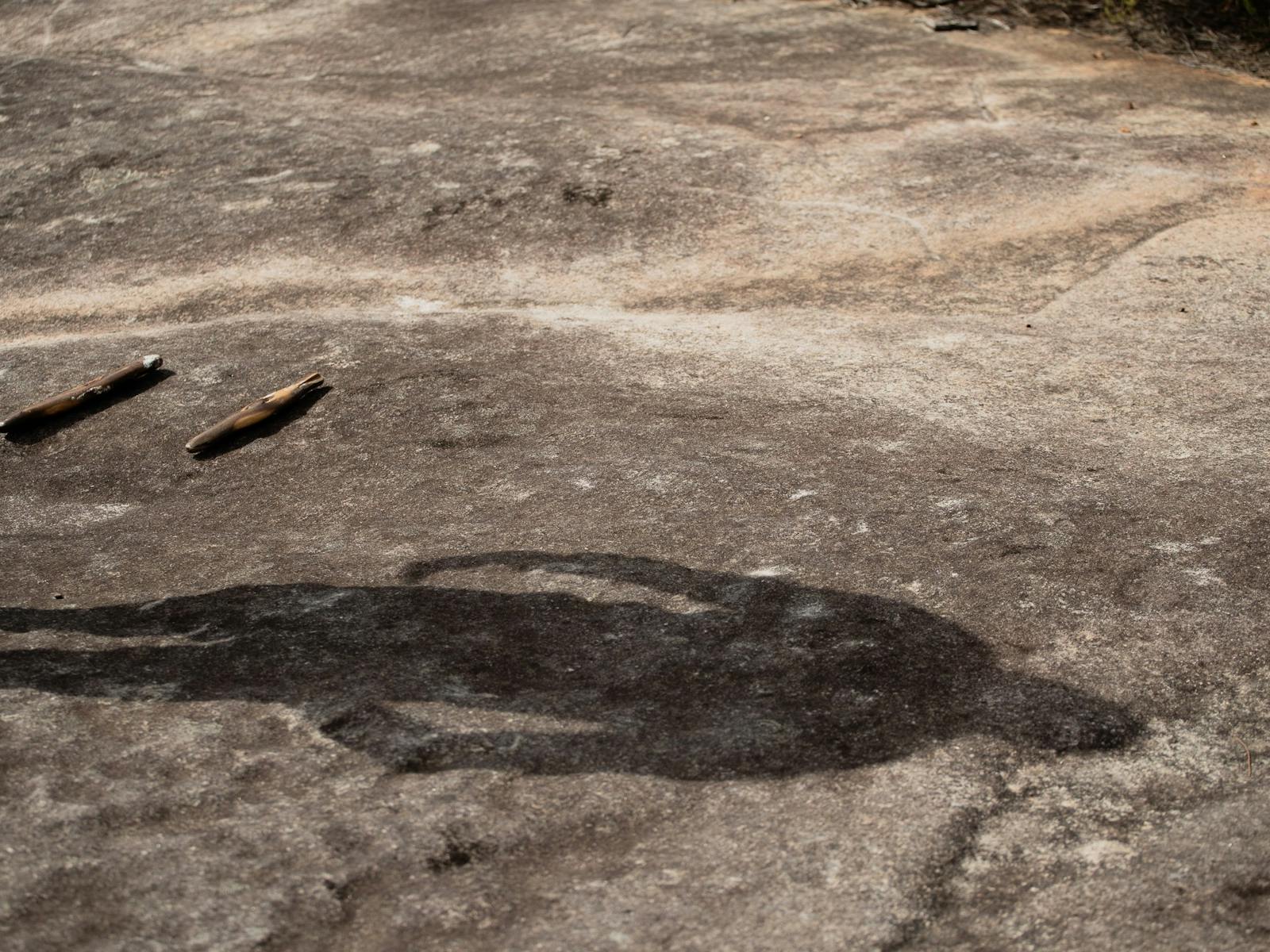 Natcha Cultural Tours