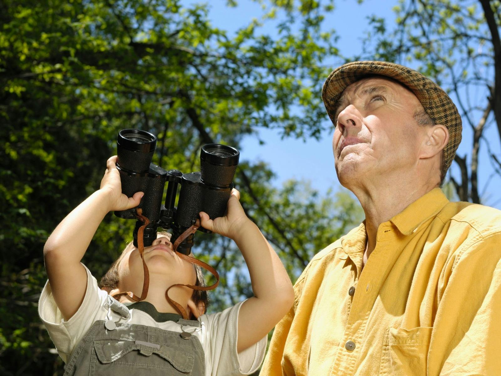 Elderly man and young child are birdwatching