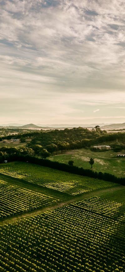 Tallagandra Hill