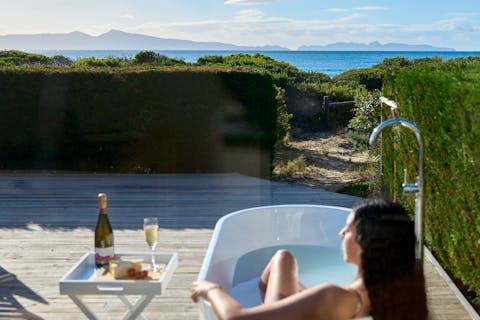 Whalebone 8 b69569f37bae1084185adac3eed2fdb0