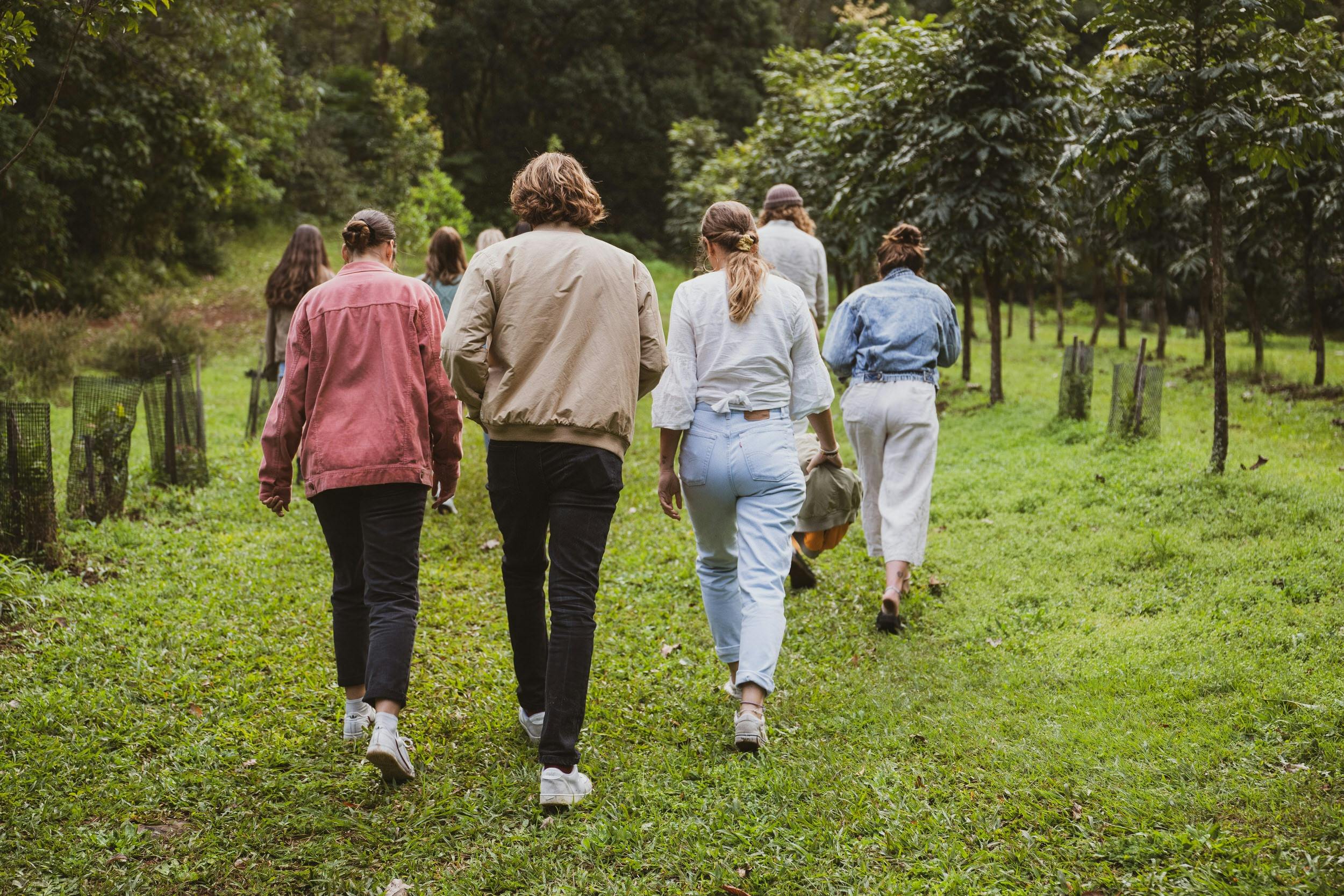 Rainforest, Distillery Tour and Tasting