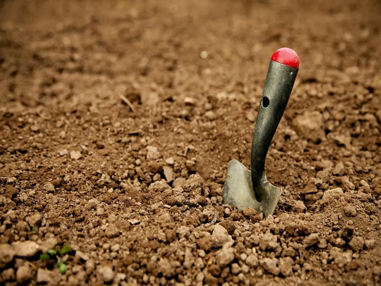 Winter school holidays - archaeology dig