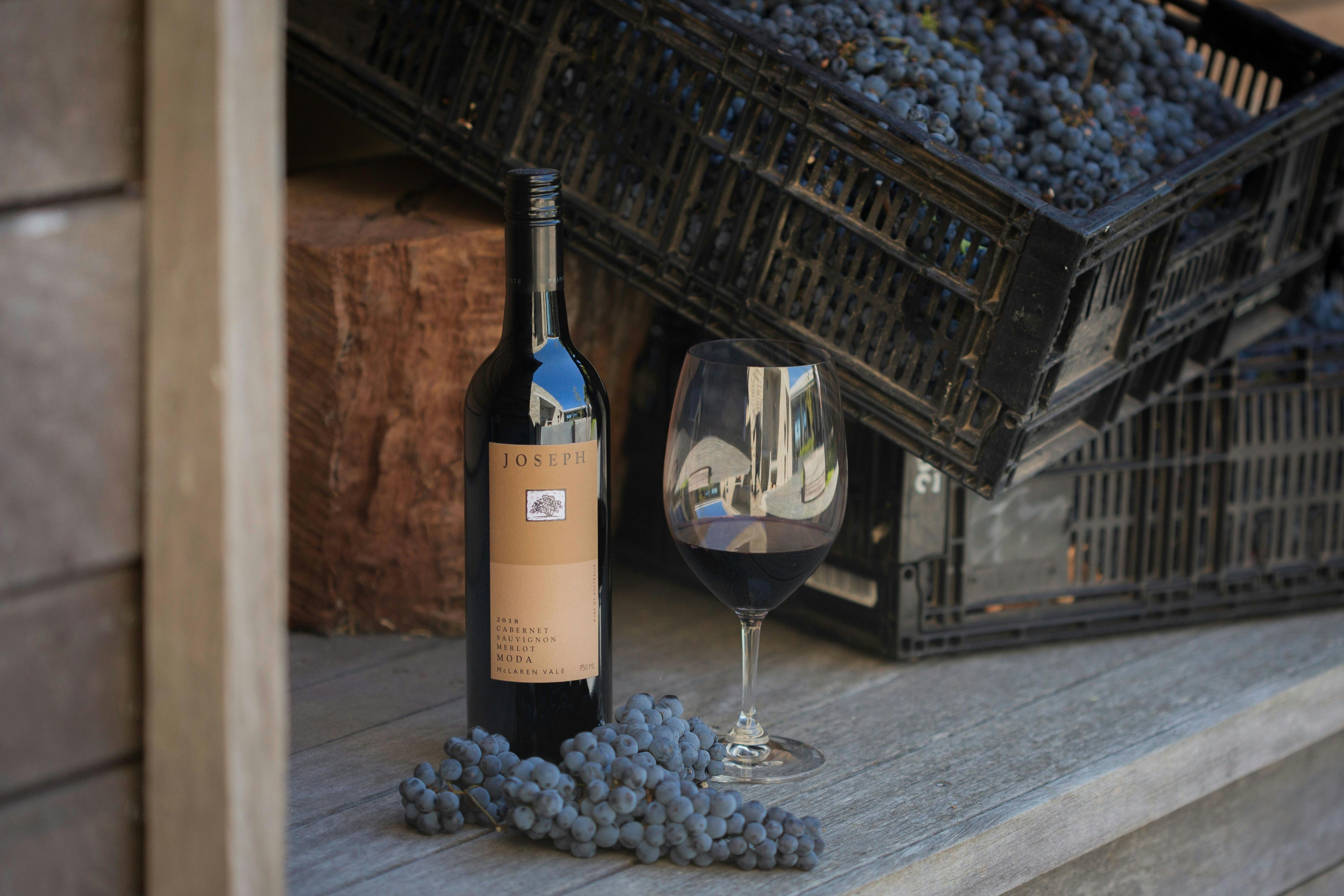 Primo Estate Wine Tasting Experience