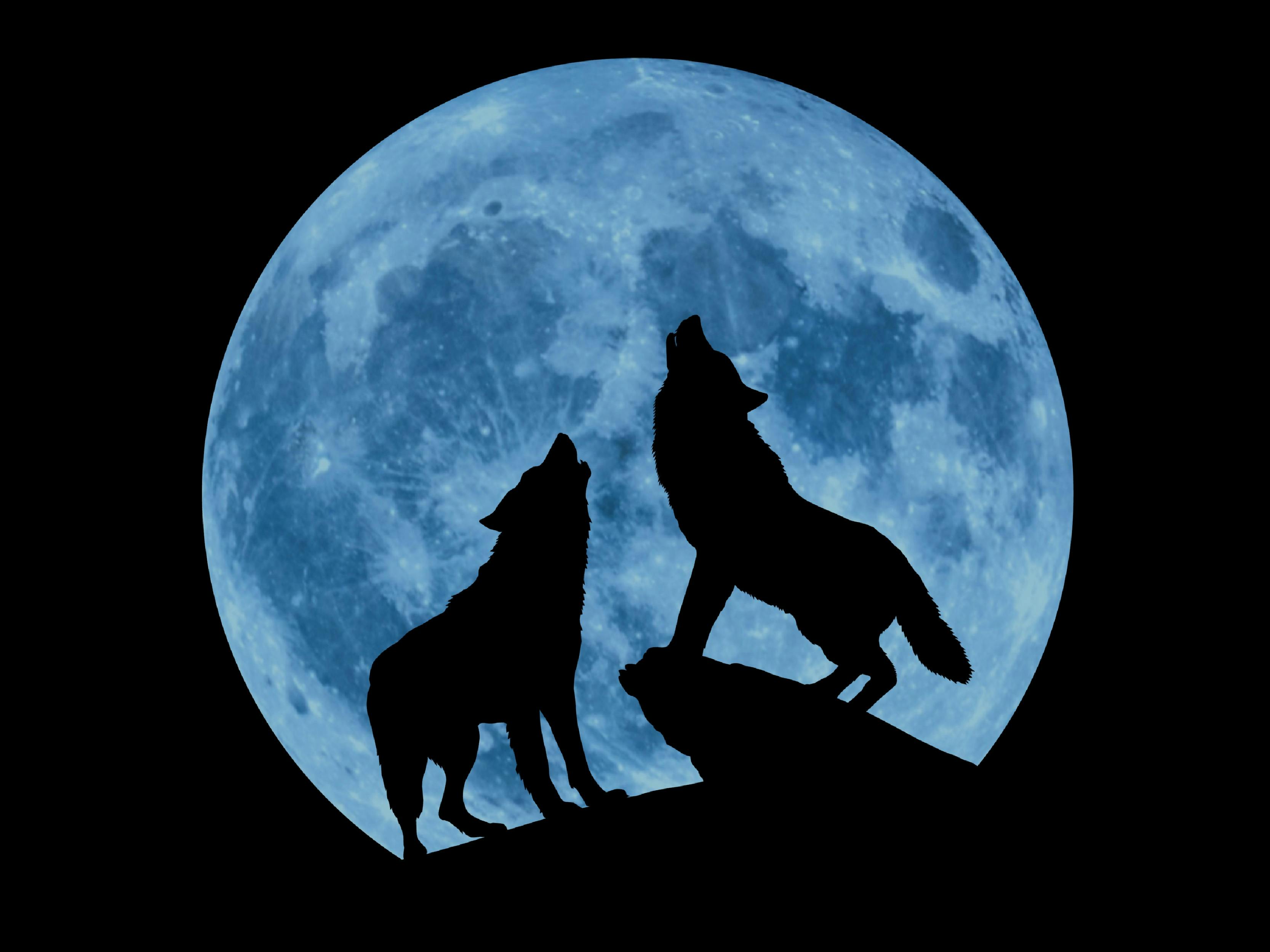 Creedence Clearwater Collective