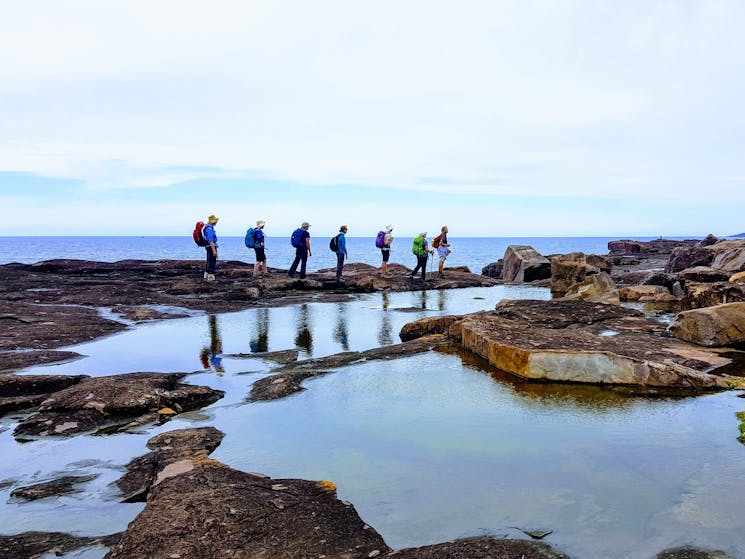 The Guided Free-Free Light to Light Walk on the Sapphire Coast by Life's An Adventure