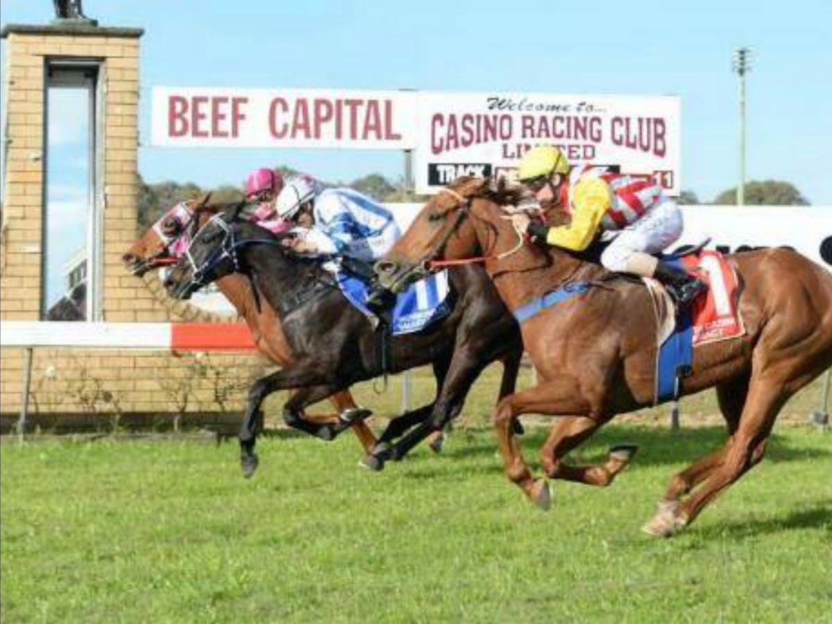 Casino Cup