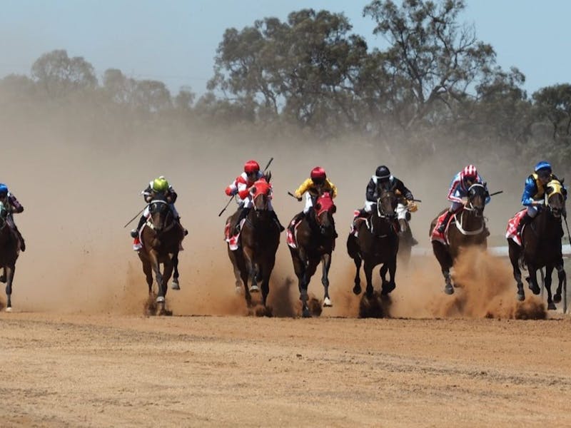 Image for Moulamein Races