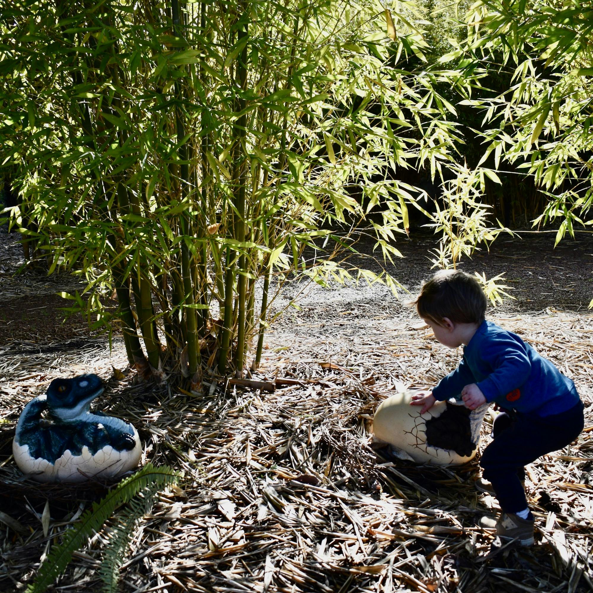 Dinosaur hatchlings at Oasis Berry Farms