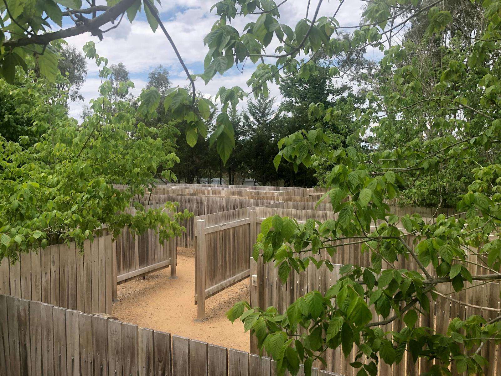 Stanthorpe maze Stanthorpe maze