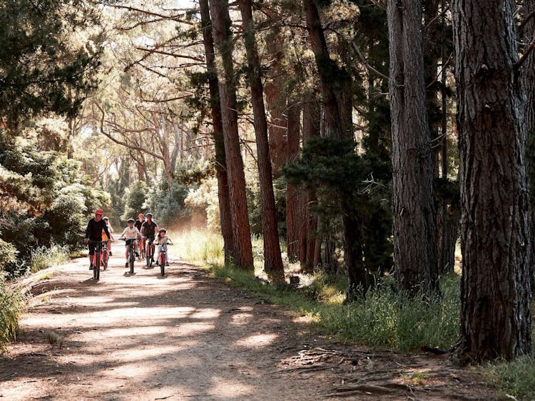 Merricks Trail