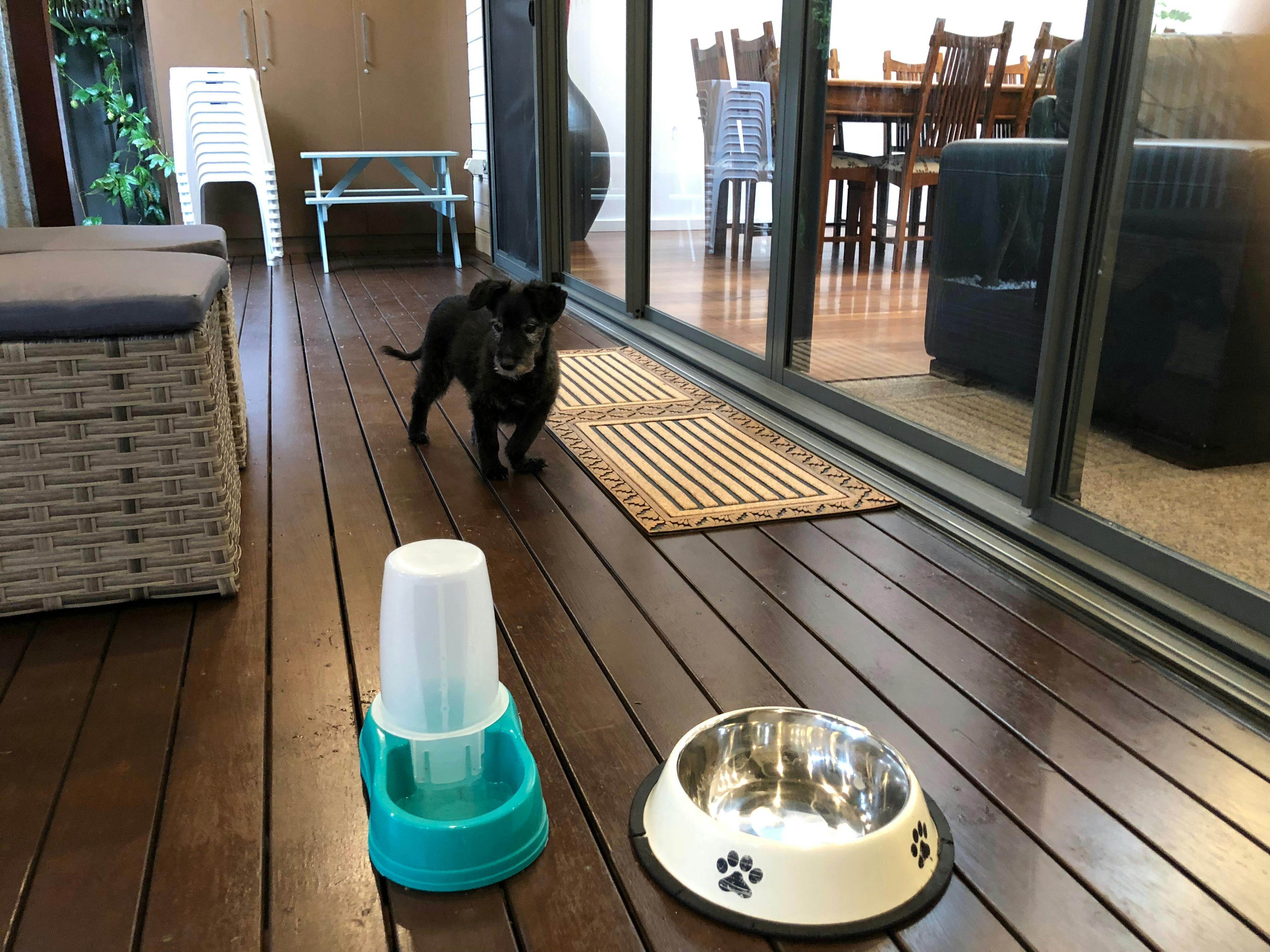 Pet friendly with 24/7 dog beach around the corner