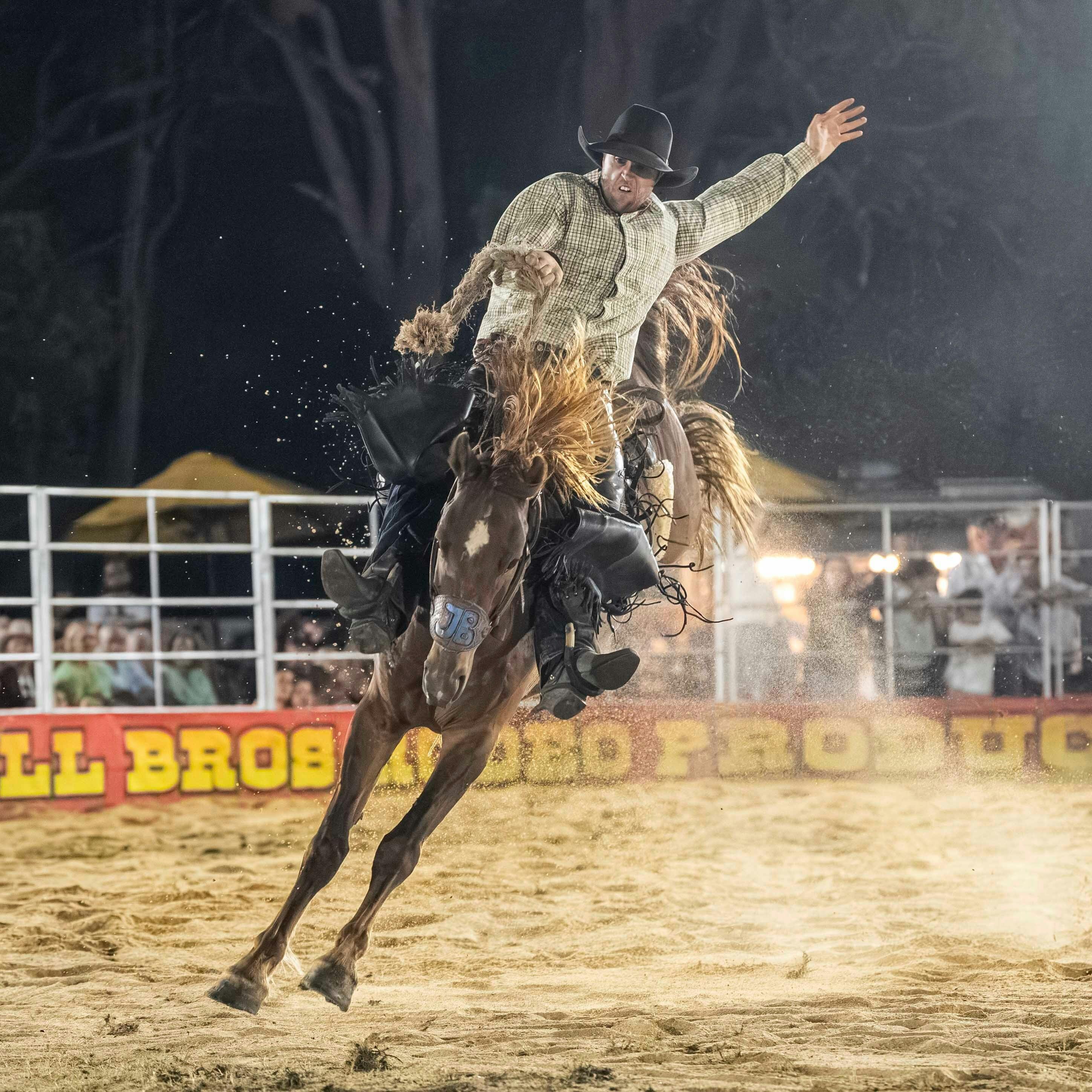 Saddle Bronc in Full Flight