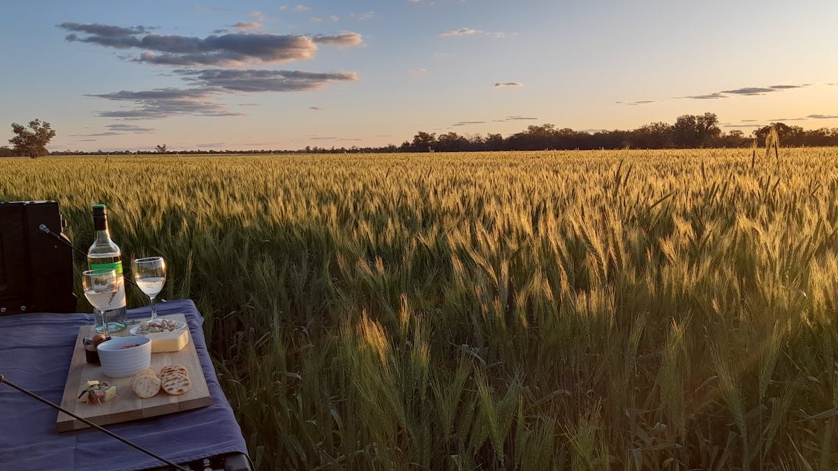 Sunset drinks over the wheat