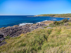 Lobster Bay
