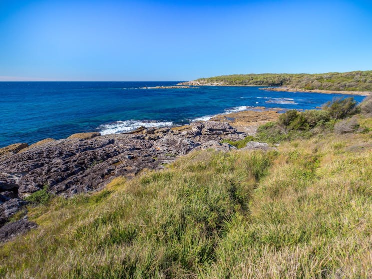 Lobster Bay