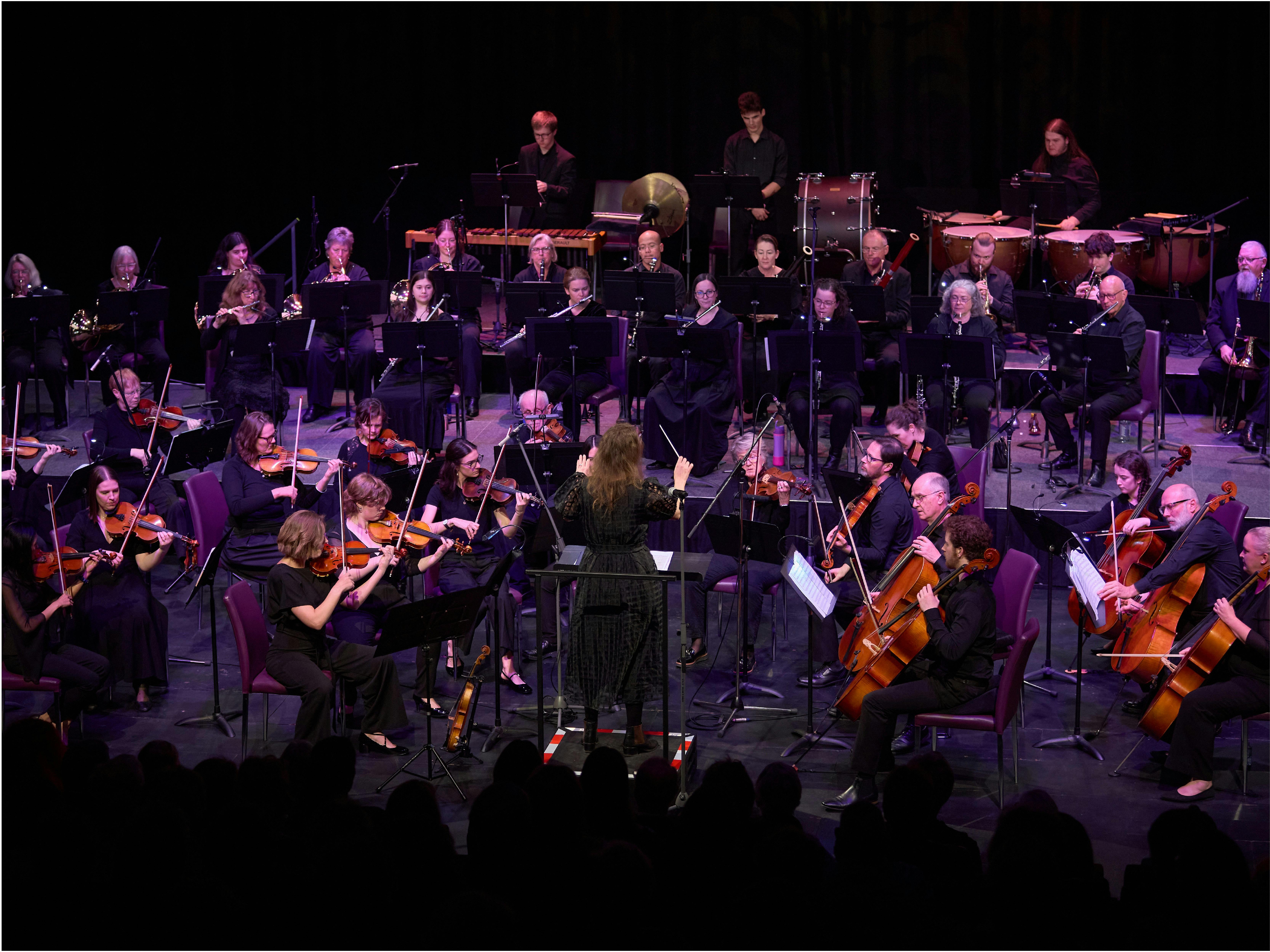 Albury Wodonga Symphony Orchestra