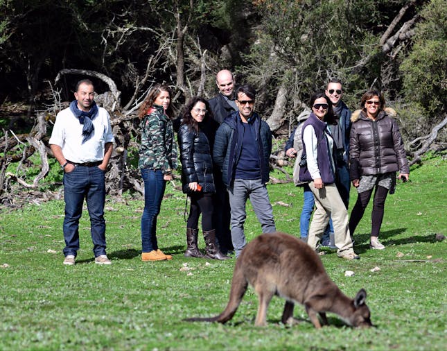 1 Day Kangaroo Island Wildlife Discovery Tour