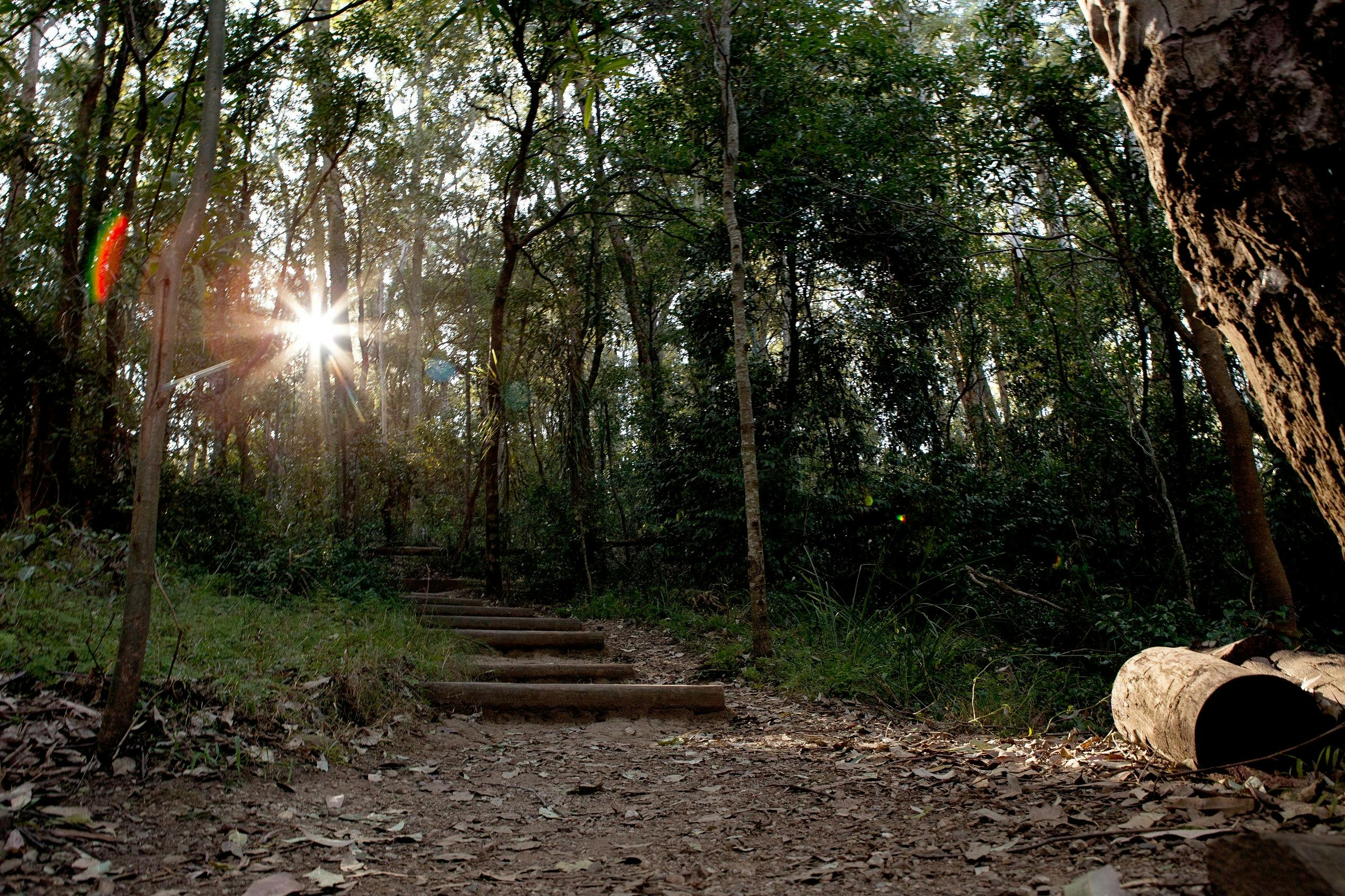 Cumberland State Forest