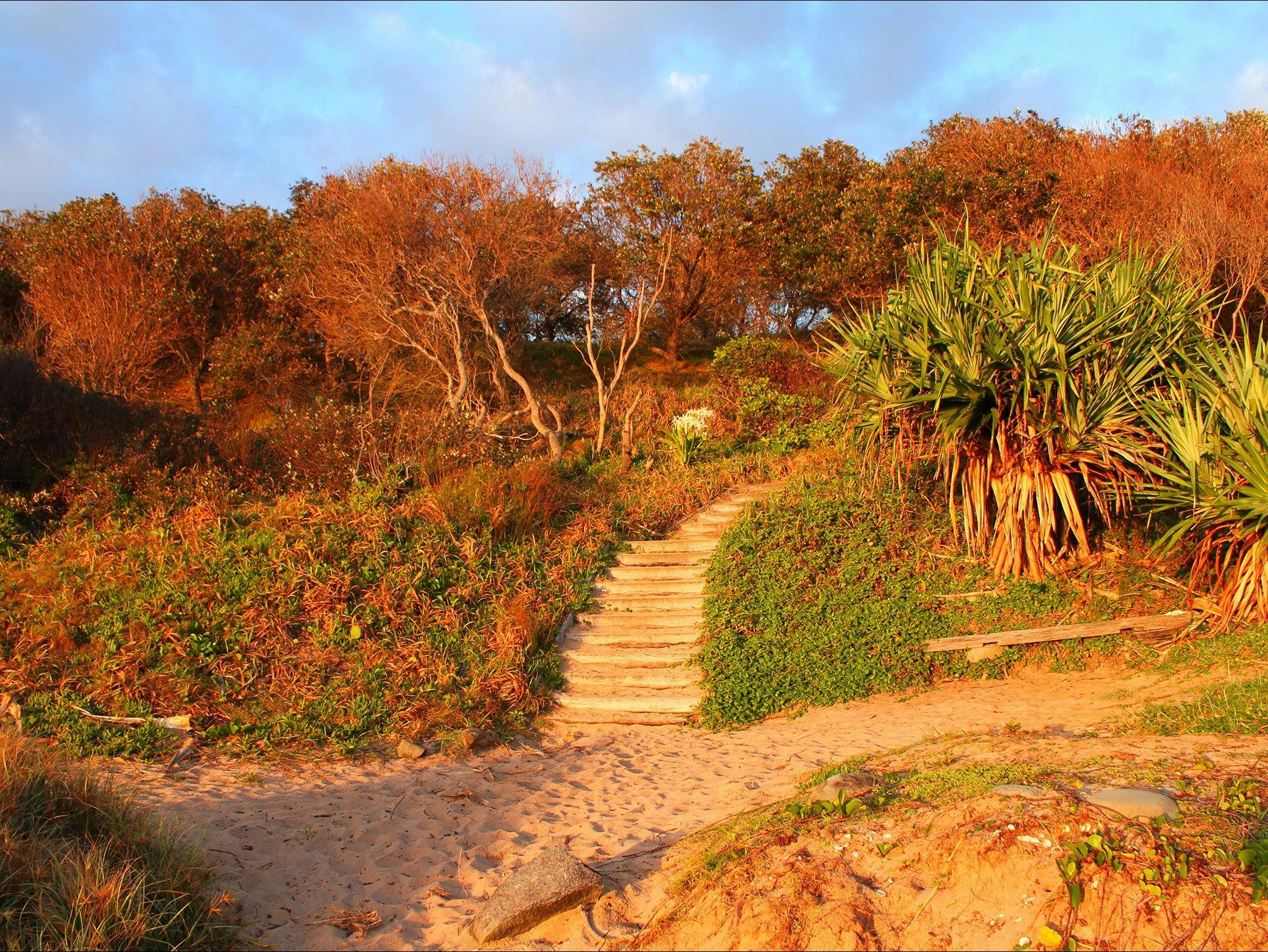 Angourie beach access