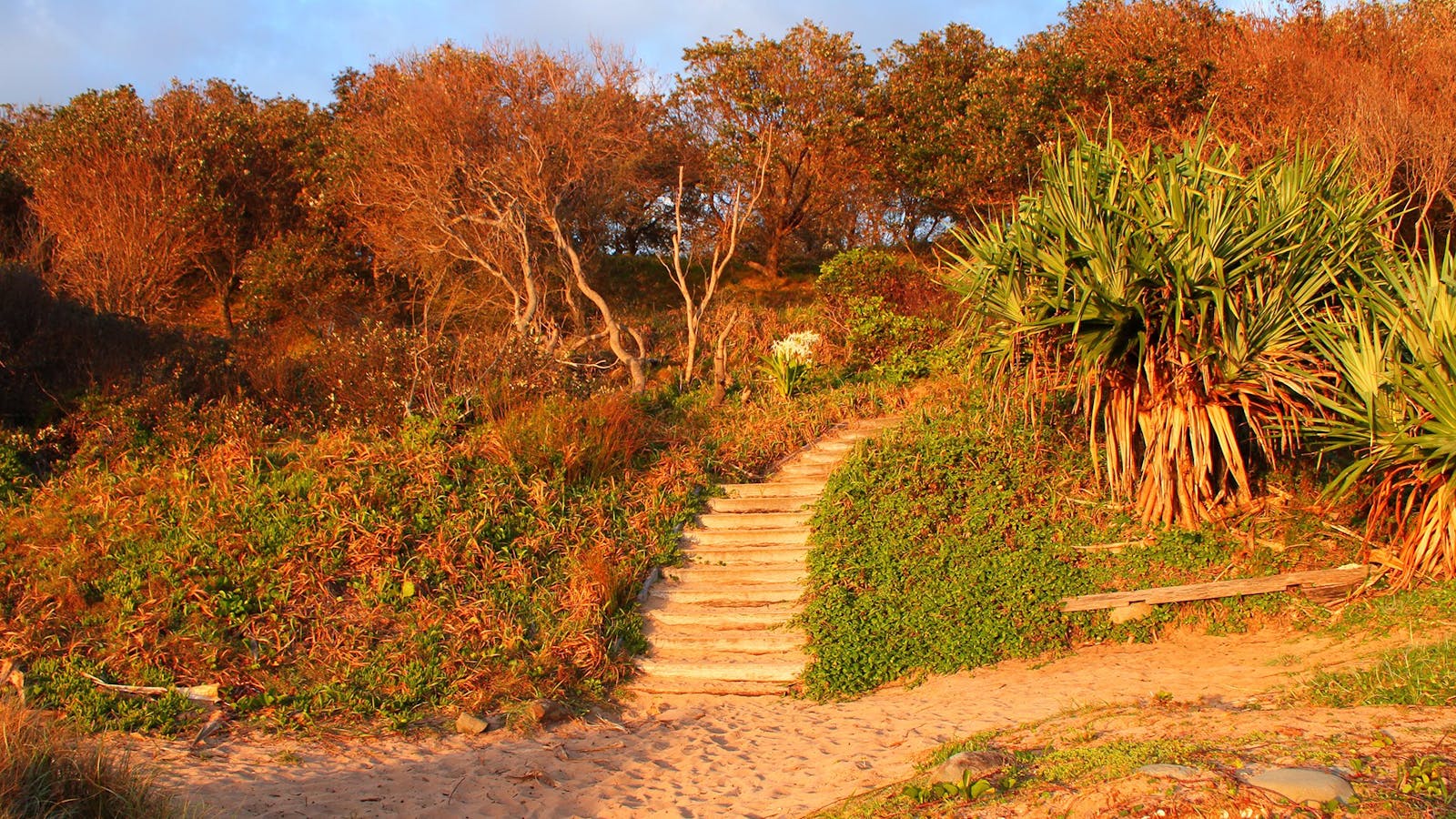 Angourie Beach