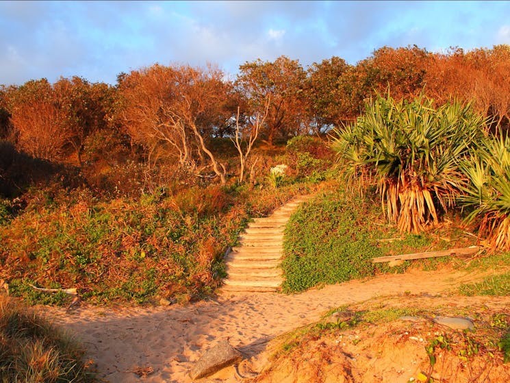 Angourie beach access