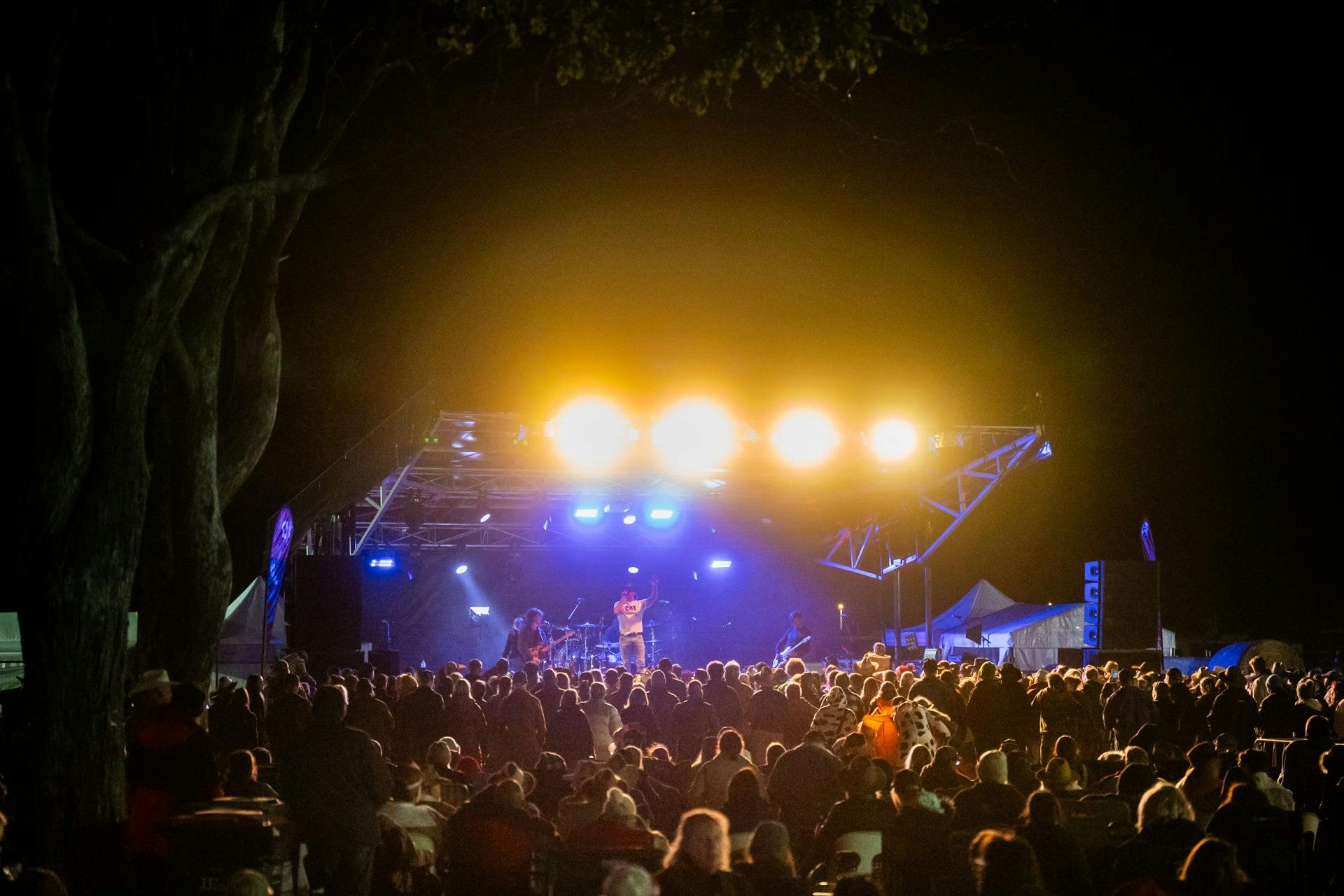 Crowd in front of stage with band performing at night