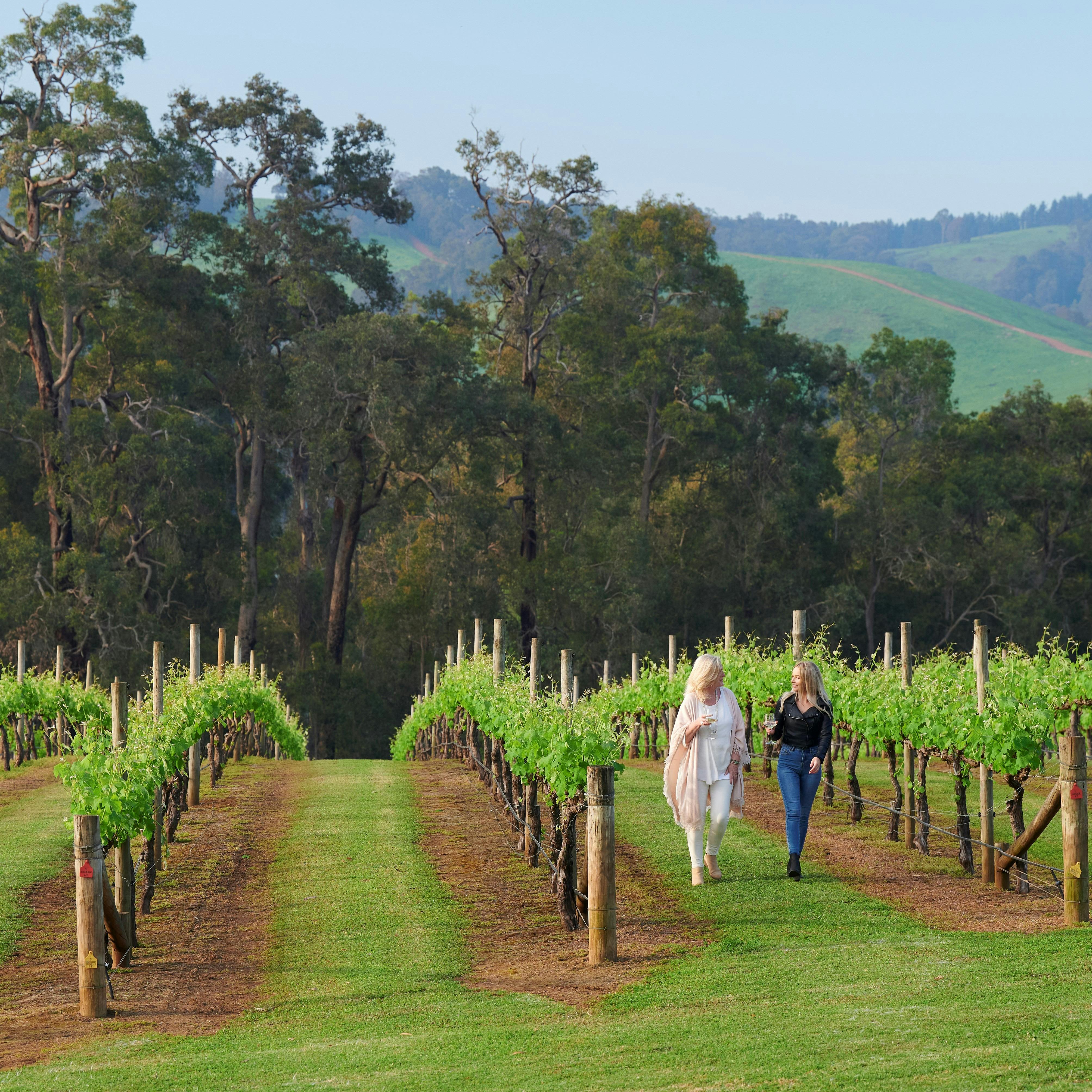 Whimwood Estate winery in Nannup