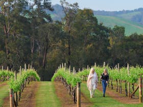 Whimwood Estate winery in Nannup