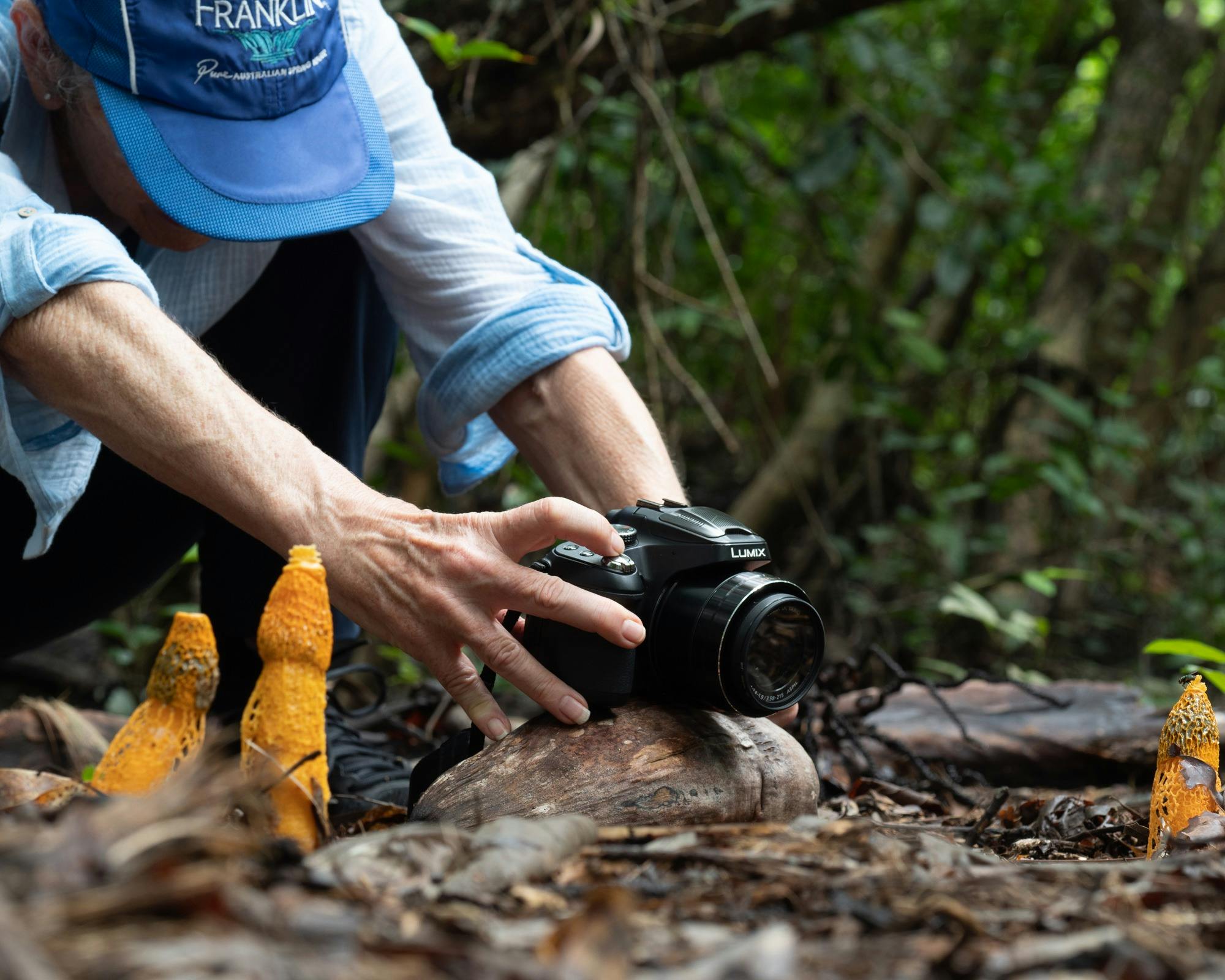 Many beautiful colourful fungi to be seen