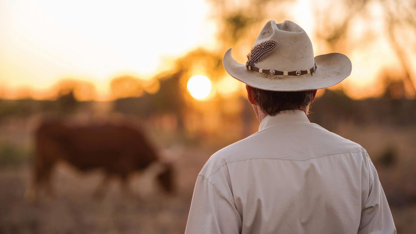 Meet a few locals along the way