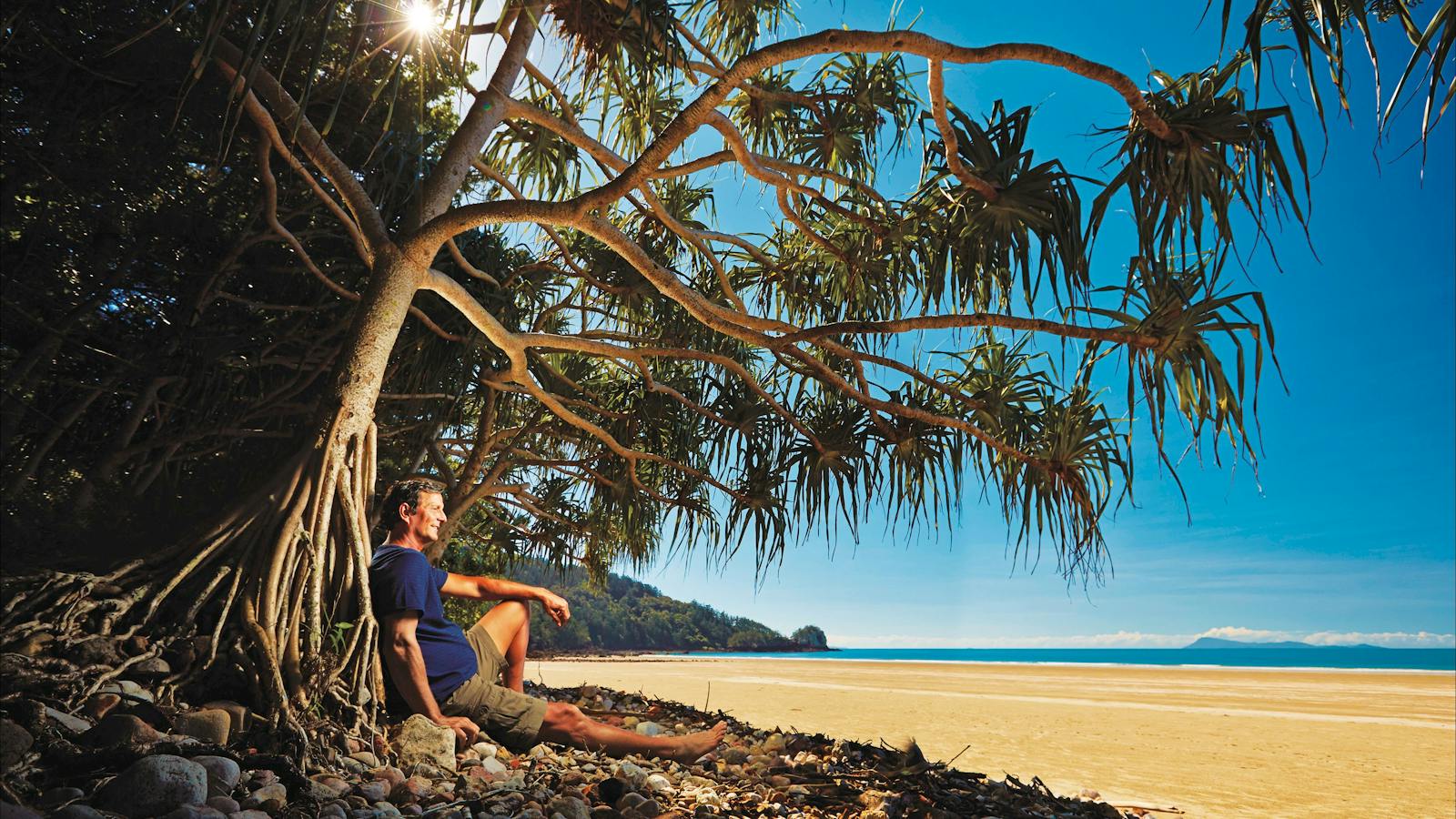 man under tree on beach