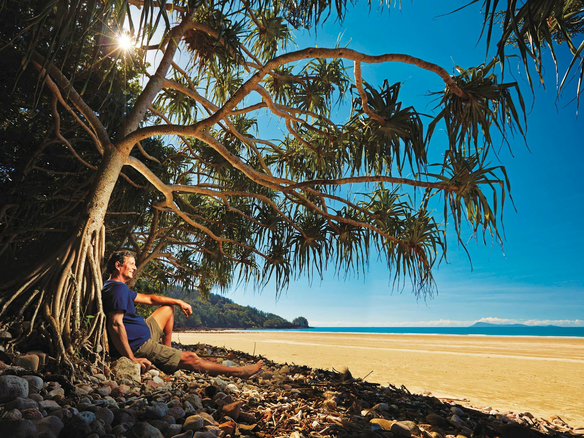 man under tree on beach