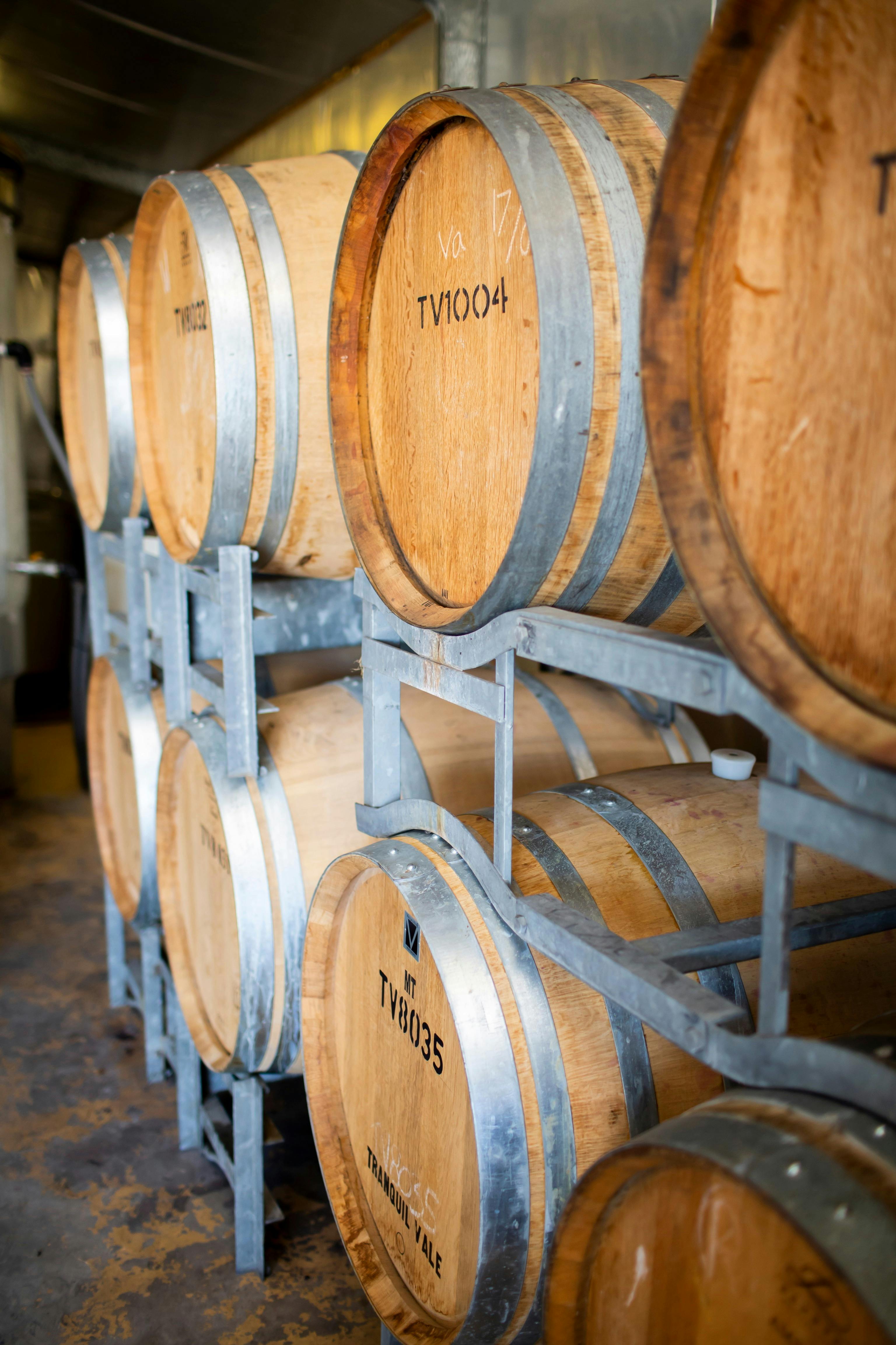 Tranquil Vale Vineyard