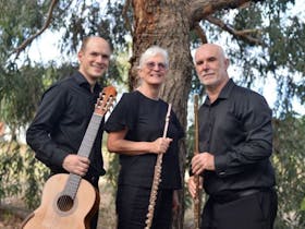 Festival of Turtles Classical Music Concert Featuring “Kurrajong Ensemble” Cover Image